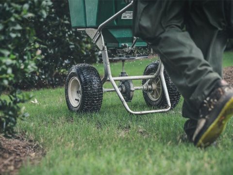 Lawn Care Services Fort Wayne IN, Lawn Maintenance New Haven, Huntertown