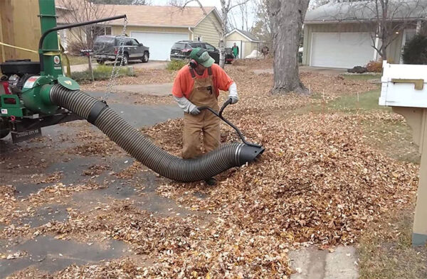 leaf cleanup near me