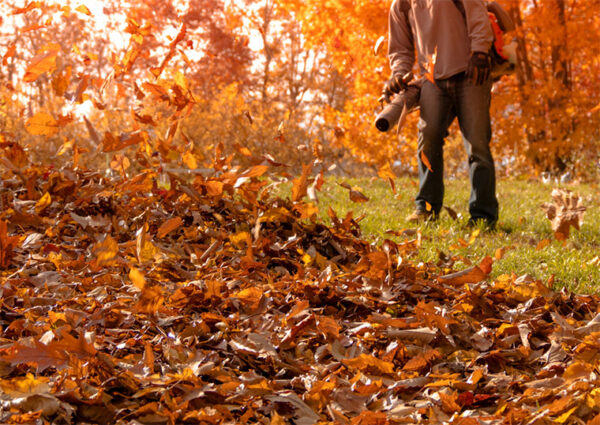 Fall Leaf Cleanup Fort Wayne IN | Leaf Cleanup To Curb New Haven ...