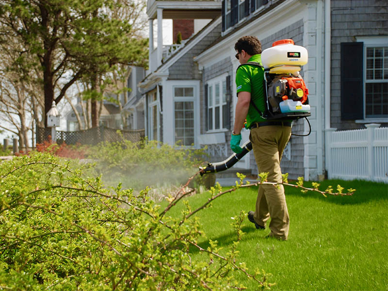 Outdoor Pest Control Fort Wayne IN, Lawn Pest Control New Haven, Huntertown