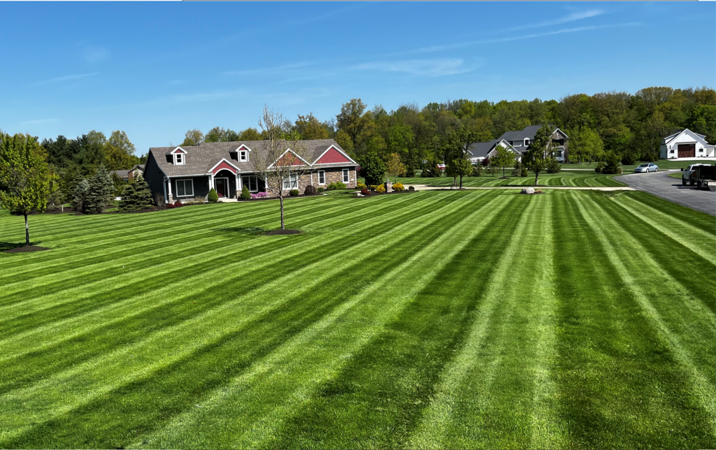 Galbraith's Landscaping & Lawn Care Mowing Services