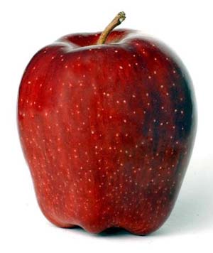 Apple, Red Delicious Semi-Dwf.
