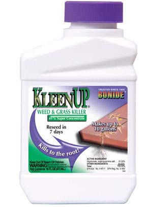 Bonide KleenUp Grass & Weed Killer